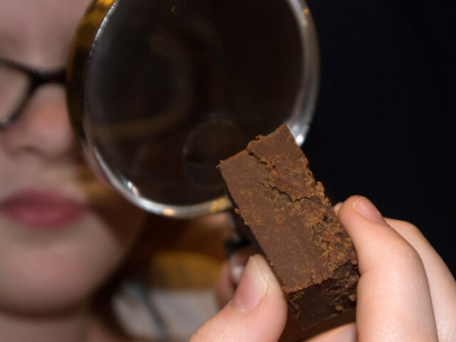 igneous rock is delicious !