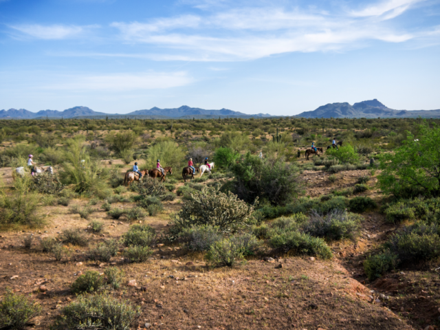 horseback ride at Fort McDowell Adventures